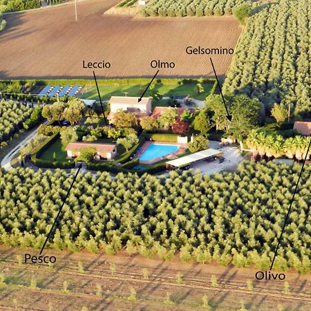 Podere Campi Al Mare 多诺然蒂克 外观 照片