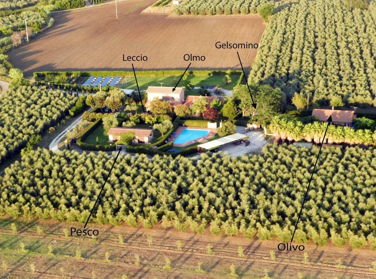Podere Campi Al Mare 多诺然蒂克 外观 照片
